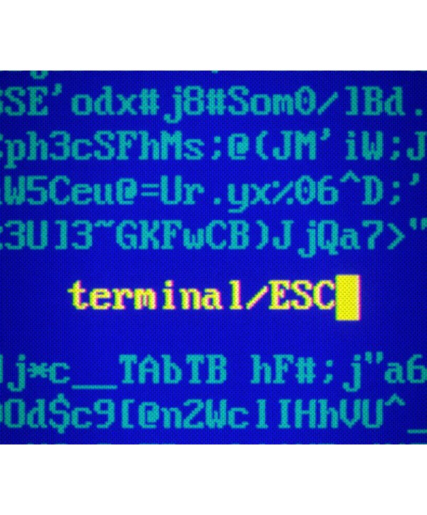 Terminal ESC Steam Key GLOBAL